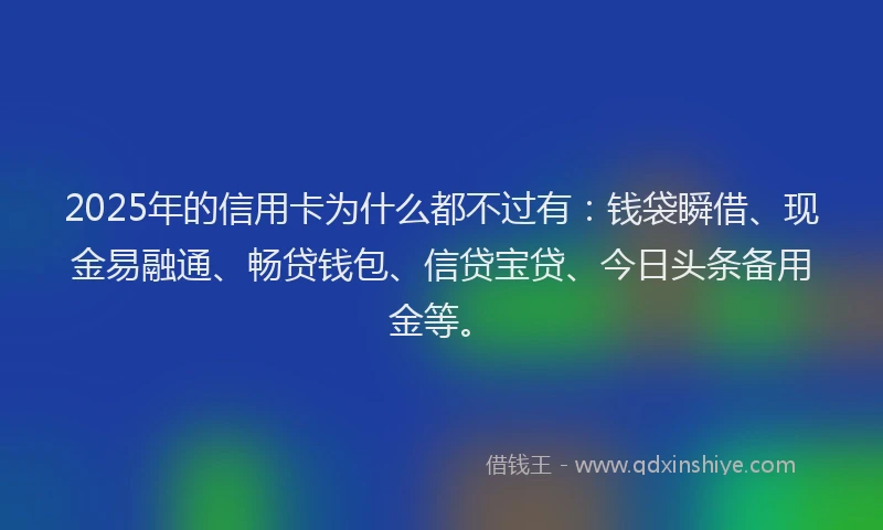 2025年的信用卡为什么都不过有：钱袋瞬借、现金易融通、畅贷钱包、信贷宝贷、今日头条备用金等。