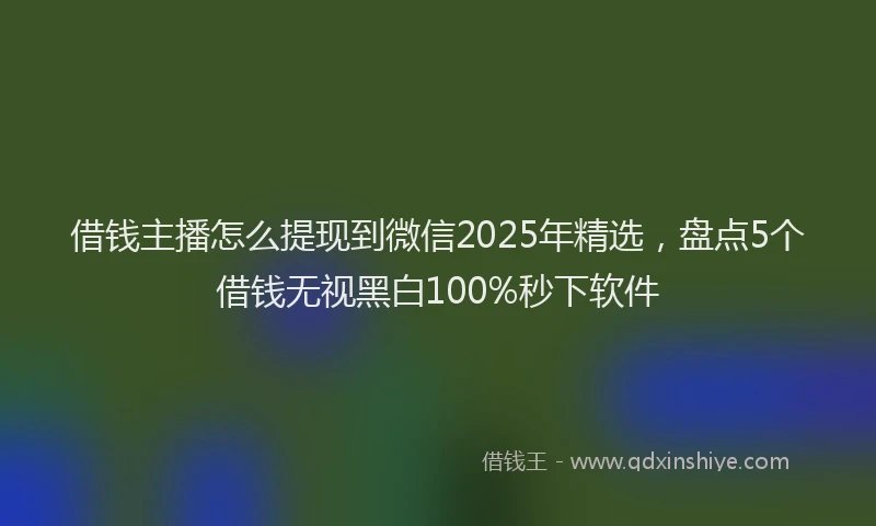 借钱主播怎么提现到微信2025年精选，盘点5个借钱无视黑白100%秒下软件