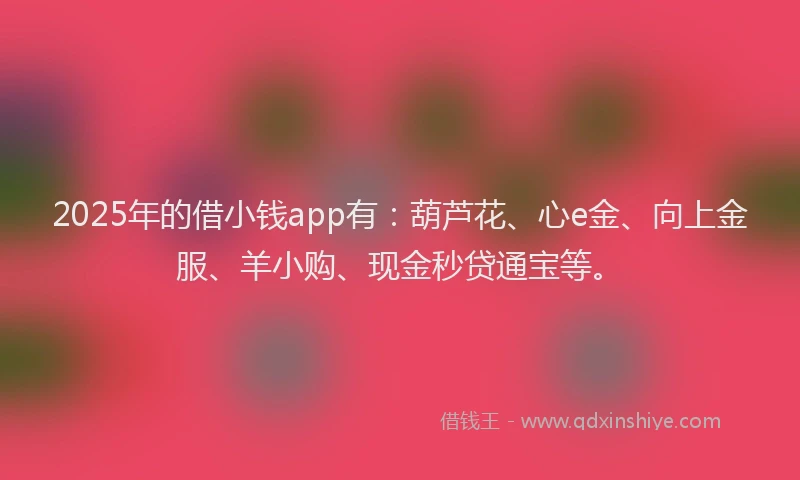 2025年的借小钱app有：葫芦花、心e金、向上金服、羊小购、现金秒贷通宝等。
