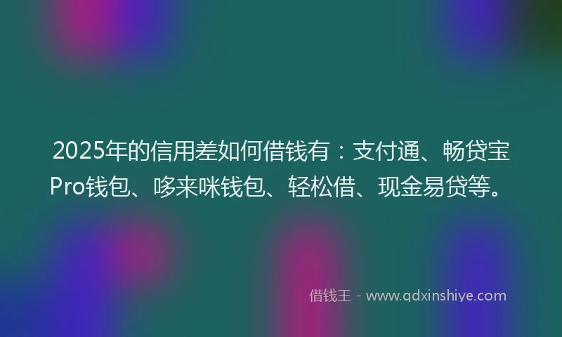 2025年的信用差如何借钱有：支付通、畅贷宝Pro钱包、哆来咪钱包、轻松借、现金易贷等。