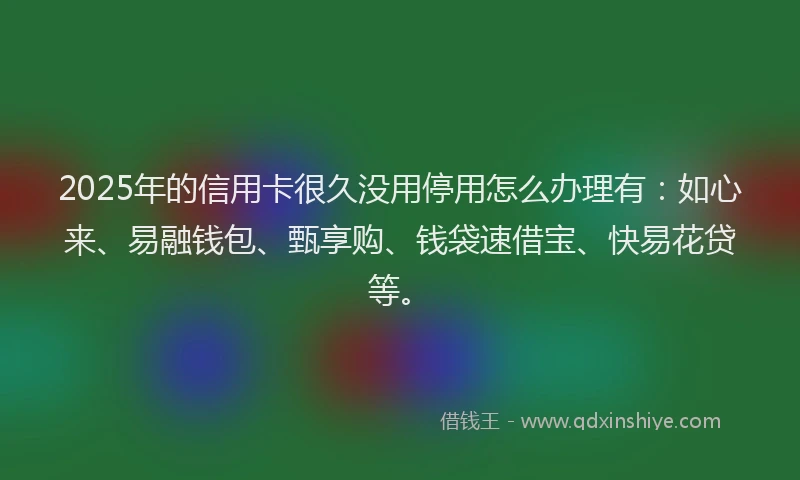2025年的信用卡很久没用停用怎么办理有：如心来、易融钱包、甄享购、钱袋速借宝、快易花贷等。