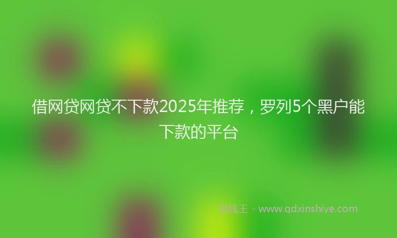 借网贷网贷不下款2025年推荐，罗列5个黑户能下款的平台