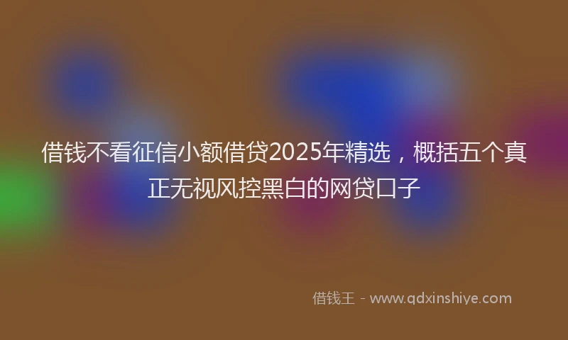 借钱不看征信小额借贷2025年精选，概括五个真正无视风控黑白的网贷口子