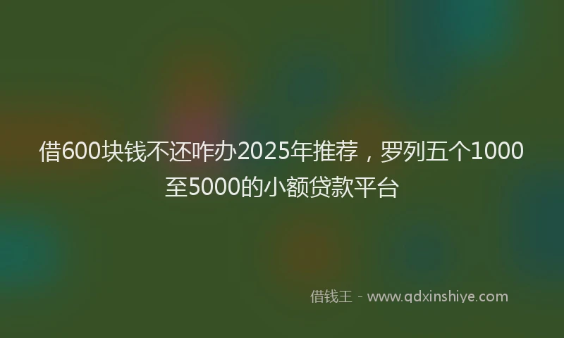 借600块钱不还咋办2025年推荐，罗列五个1000至5000的小额贷款平台