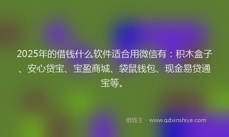 2025年的借钱什么软件适合用微信有：积木盒子、安心贷宝、宝盈商城、袋鼠钱包、现金易贷通宝等。