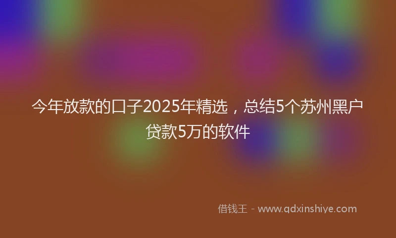 今年放款的口子2025年精选，总结5个苏州黑户贷款5万的软件