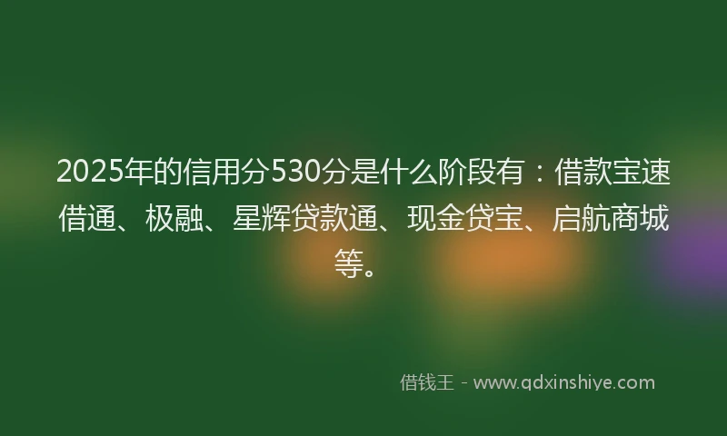 2025年的信用分530分是什么阶段有：借款宝速借通、极融、星辉贷款通、现金贷宝、启航商城等。