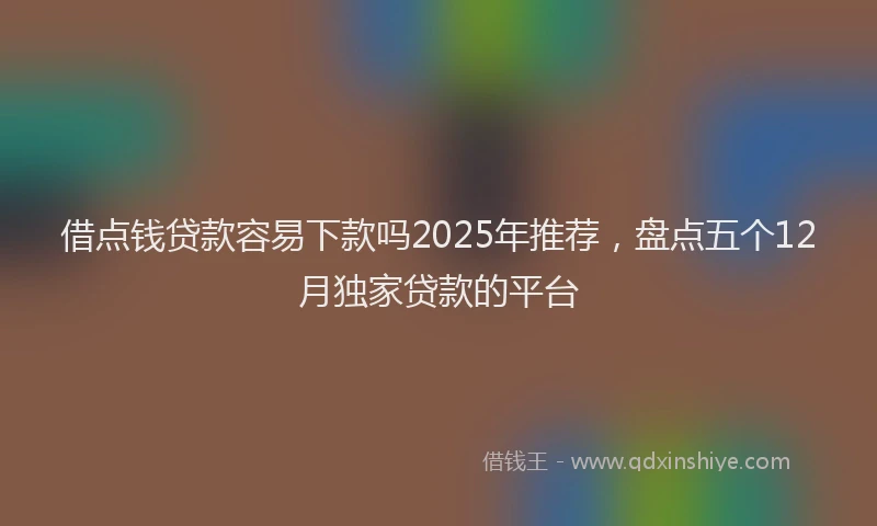 借点钱贷款容易下款吗2025年推荐，盘点五个12月独家贷款的平台