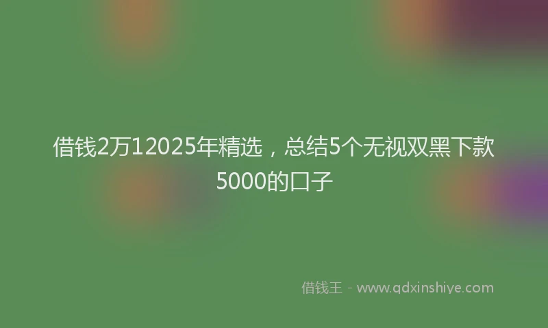 借钱2万12025年精选，总结5个无视双黑下款5000的口子