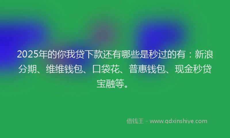 2025年的你我贷下款还有哪些是秒过的有：新浪分期、维维钱包、口袋花、普惠钱包、现金秒贷宝融等。