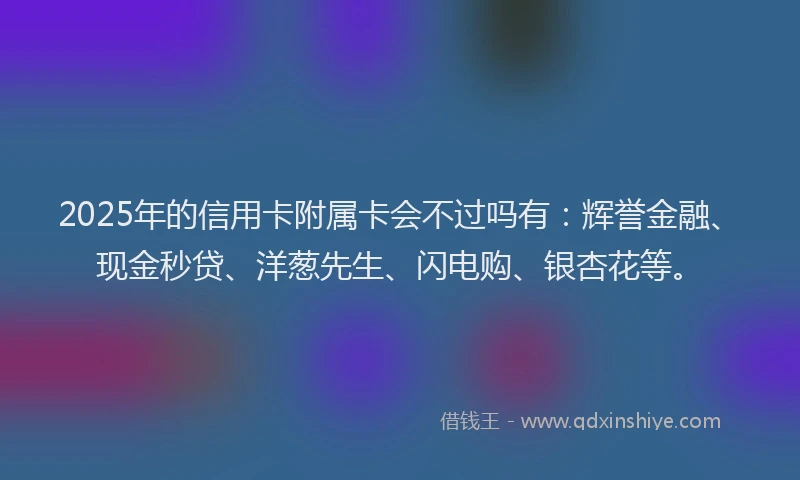 2025年的信用卡附属卡会不过吗有：辉誉金融、现金秒贷、洋葱先生、闪电购、银杏花等。