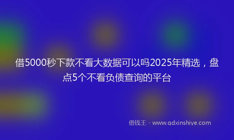 借5000秒下款不看大数据可以吗2025年精选，盘点5个不看负债查询的平台