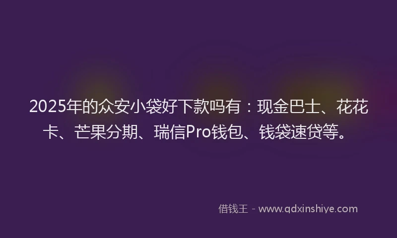 2025年的众安小袋好下款吗有：现金巴士、花花卡、芒果分期、瑞信Pro钱包、钱袋速贷等。