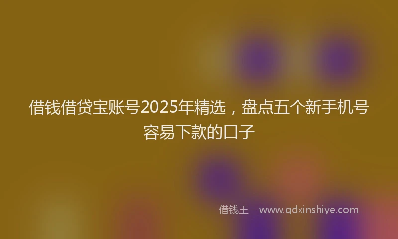 借钱借贷宝账号2025年精选，盘点五个新手机号容易下款的口子