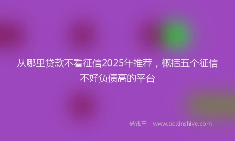 从哪里贷款不看征信2025年推荐，概括五个征信不好负债高的平台