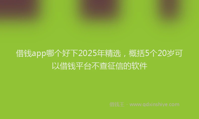 借钱app哪个好下2025年精选，概括5个20岁可以借钱平台不查征信的软件