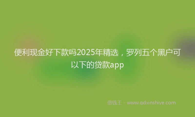 便利现金好下款吗2025年精选，罗列五个黑户可以下的贷款app