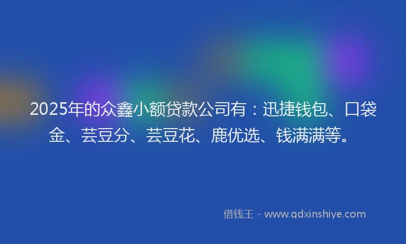 2025年的众鑫小额贷款公司有：迅捷钱包、口袋金、芸豆分、芸豆花、鹿优选、钱满满等。
