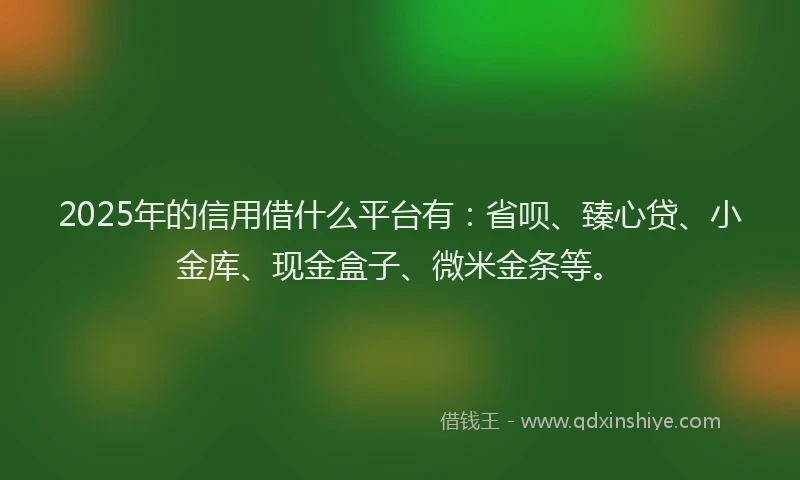 2025年的信用借什么平台有：省呗、臻心贷、小金库、现金盒子、微米金条等。