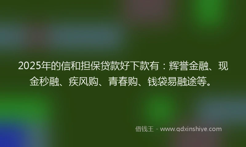 2025年的信和担保贷款好下款有：辉誉金融、现金秒融、疾风购、青春购、钱袋易融途等。