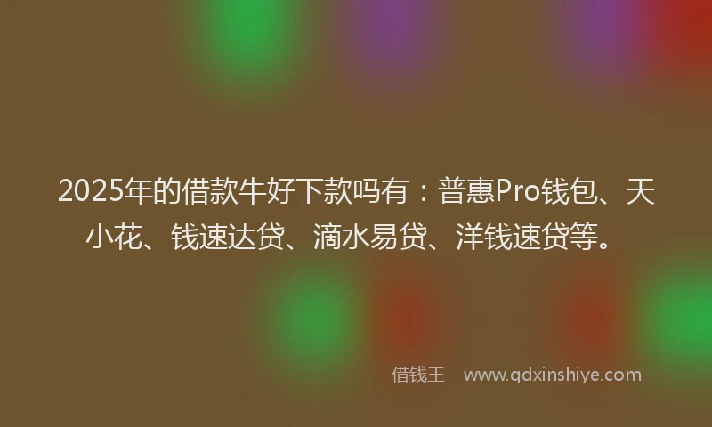 2025年的借款牛好下款吗有：普惠Pro钱包、天小花、钱速达贷、滴水易贷、洋钱速贷等。