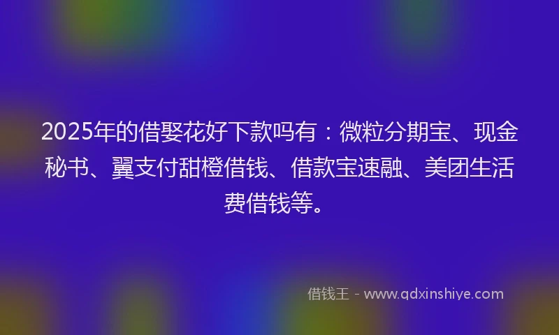 2025年的借娶花好下款吗有：微粒分期宝、现金秘书、翼支付甜橙借钱、借款宝速融、美团生活费借钱等。