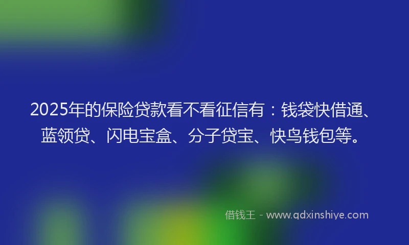 2025年的保险贷款看不看征信有：钱袋快借通、蓝领贷、闪电宝盒、分子贷宝、快鸟钱包等。