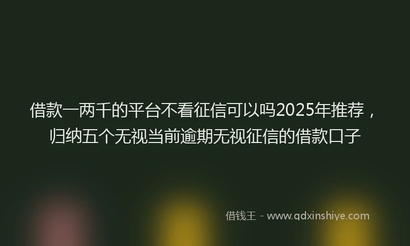 借款一两千的平台不看征信可以吗2025年推荐，归纳五个无视当前逾期无视征信的借款口子