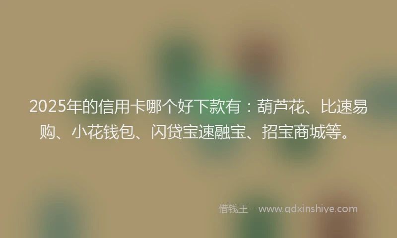 2025年的信用卡哪个好下款有：葫芦花、比速易购、小花钱包、闪贷宝速融宝、招宝商城等。