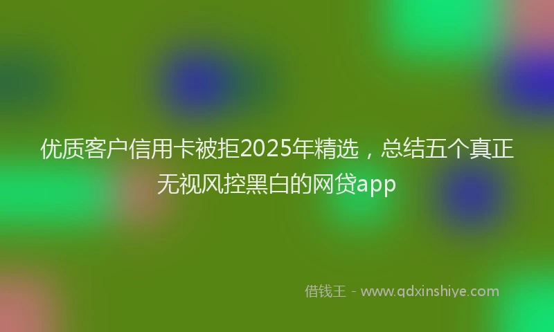 优质客户信用卡被拒2025年精选，总结五个真正无视风控黑白的网贷app