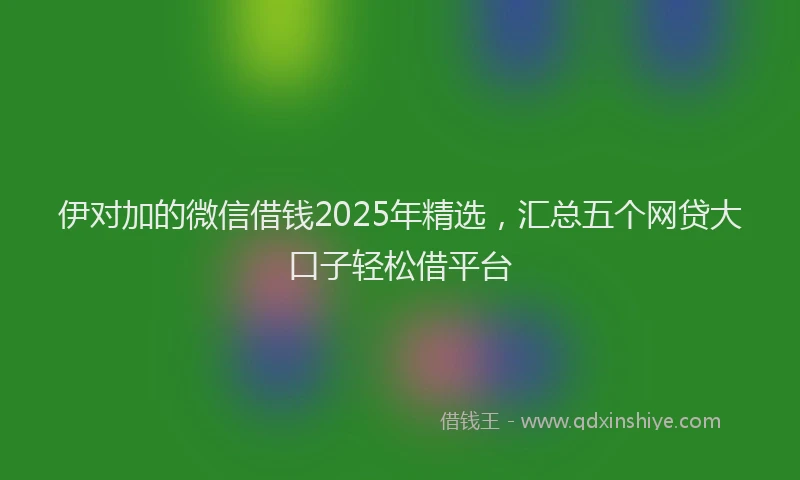 伊对加的微信借钱2025年精选，汇总五个网贷大口子轻松借平台
