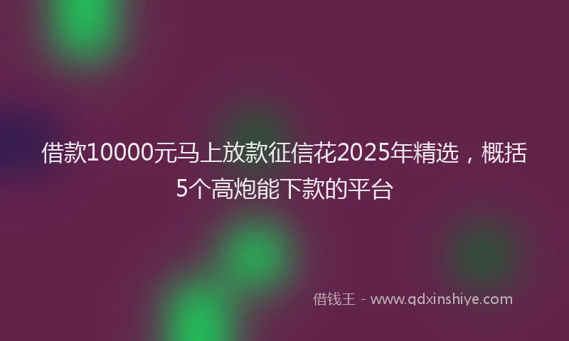 借款10000元马上放款征信花2025年精选，概括5个高炮能下款的平台
