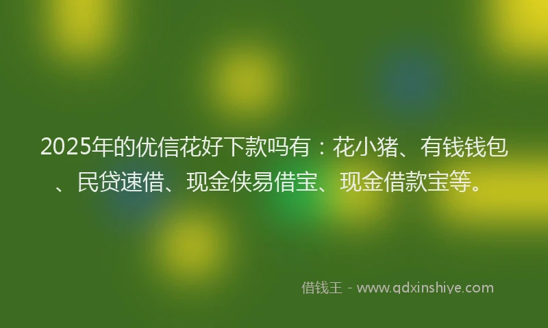 2025年的优信花好下款吗有：花小猪、有钱钱包、民贷速借、现金侠易借宝、现金借款宝等。