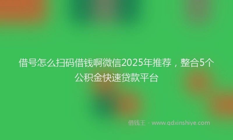 借号怎么扫码借钱啊微信2025年推荐，整合5个公积金快速贷款平台
