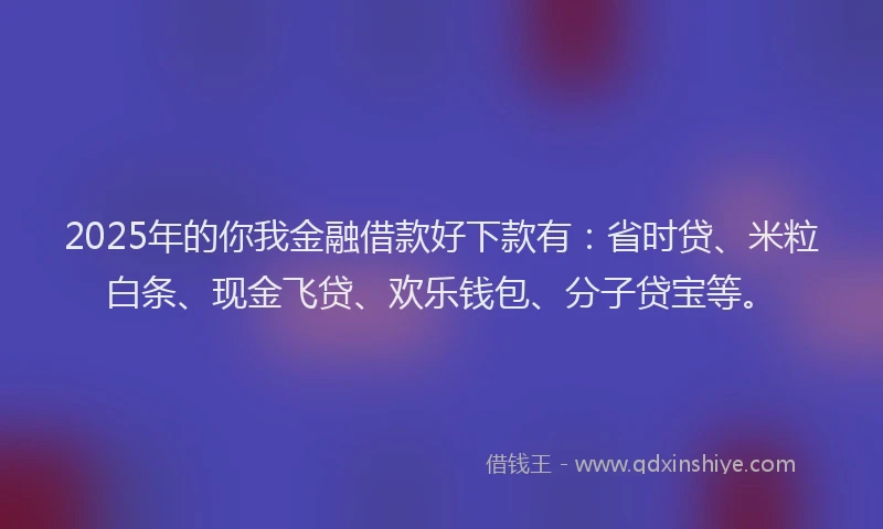 2025年的你我金融借款好下款有：省时贷、米粒白条、现金飞贷、欢乐钱包、分子贷宝等。