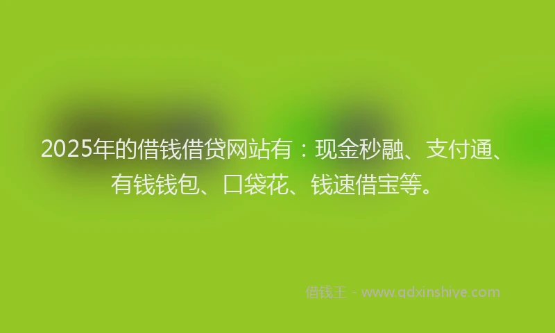 2025年的借钱借贷网站有：现金秒融、支付通、有钱钱包、口袋花、钱速借宝等。