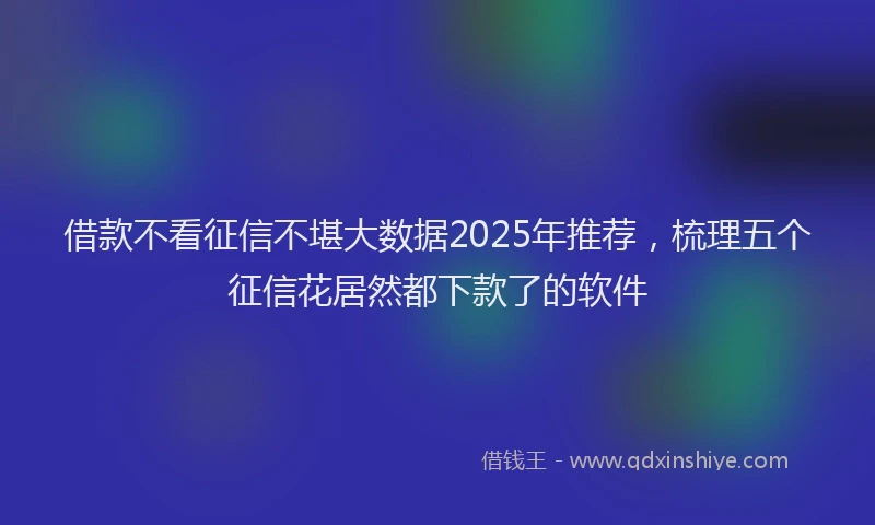 借款不看征信不堪大数据2025年推荐，梳理五个征信花居然都下款了的软件