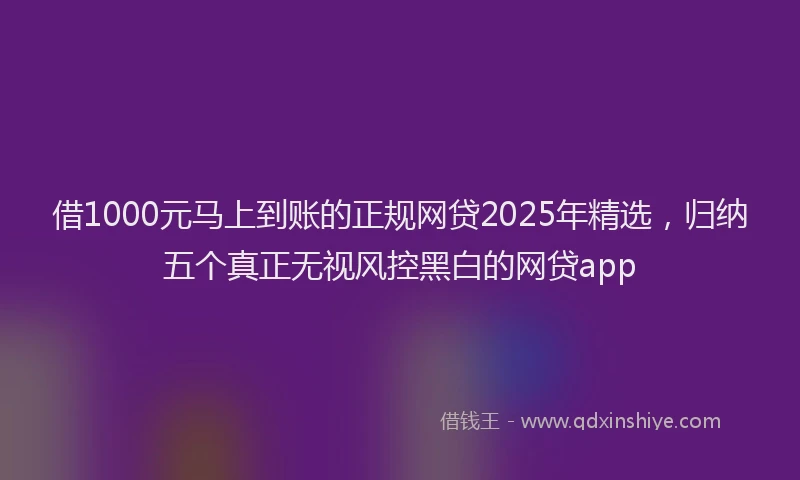借1000元马上到账的正规网贷2025年精选，归纳五个真正无视风控黑白的网贷app