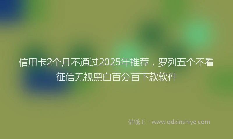信用卡2个月不通过2025年推荐，罗列五个不看征信无视黑白百分百下款软件