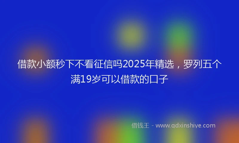 借款小额秒下不看征信吗2025年精选，罗列五个满19岁可以借款的口子