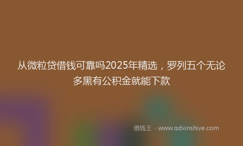 从微粒贷借钱可靠吗2025年精选，罗列五个无论多黑有公积金就能下款