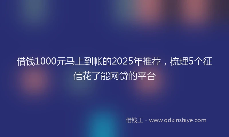 借钱1000元马上到帐的2025年推荐，梳理5个征信花了能网贷的平台