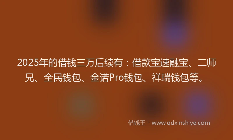 2025年的借钱三万后续有：借款宝速融宝、二师兄、全民钱包、金诺Pro钱包、祥瑞钱包等。