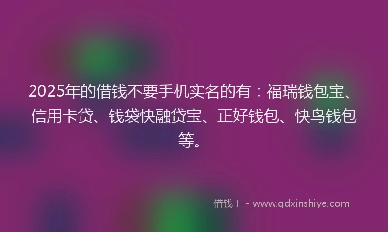 2025年的借钱不要手机实名的有：福瑞钱包宝、信用卡贷、钱袋快融贷宝、正好钱包、快鸟钱包等。