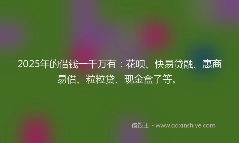 2025年的借钱一千万有：花呗、快易贷融、惠商易借、粒粒贷、现金盒子等。