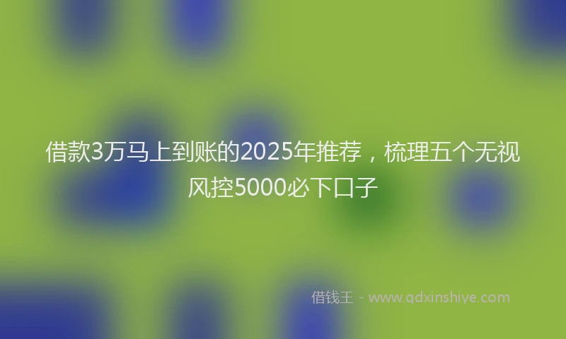 借款3万马上到账的2025年推荐，梳理五个无视风控5000必下口子