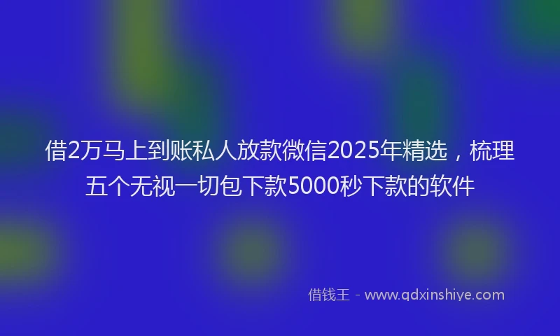借2万马上到账私人放款微信2025年精选，梳理五个无视一切包下款5000秒下款的软件