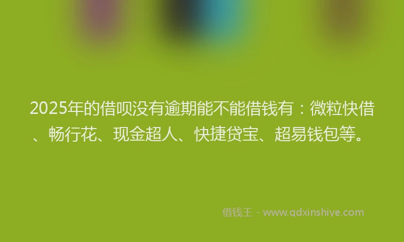 2025年的借呗没有逾期能不能借钱有：微粒快借、畅行花、现金超人、快捷贷宝、超易钱包等。