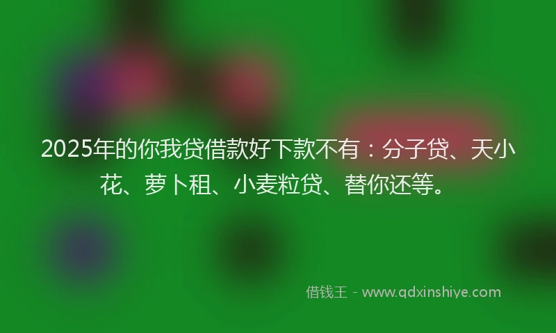 2025年的你我贷借款好下款不有：分子贷、天小花、萝卜租、小麦粒贷、替你还等。