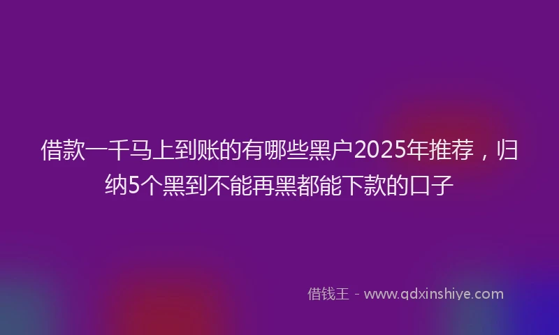 借款一千马上到账的有哪些黑户2025年推荐，归纳5个黑到不能再黑都能下款的口子